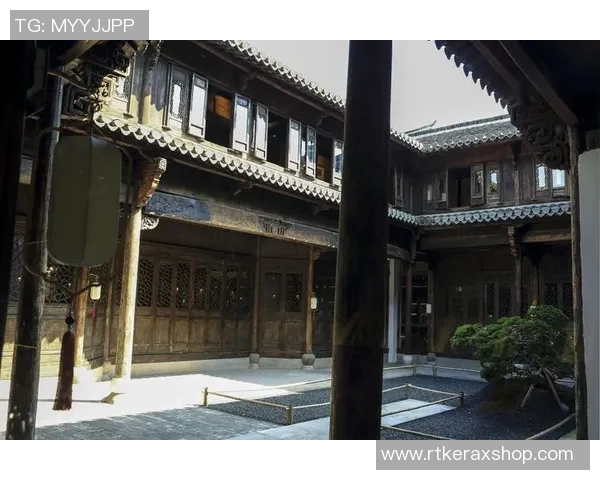 鹤辞战损比高的背后原因与影响分析及其对未来战局的启示